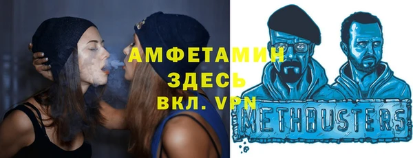 индика Верея