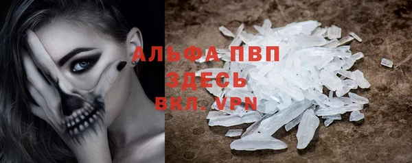 индика Верея