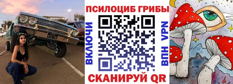 Псилоцибиновые грибы Psilocybine cubensis  Северск 